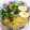 クックSVYCHH☆'s cooksnap of when they made 小松菜と若いにらで、ささっとごま油いため.
