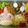 peruru202's cooksnap of when they made モンストキャラ弁.