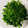 三匹のジョージ's cooksnap of when they made 大根菜のおかか和え.
