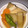 mOTeキチ5's cooksnap of when they made 簡単！大根と厚揚げの煮物.