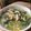 caruga's cooksnap of when they made ねぎと鶏のレモン風味塩ラーメン.