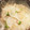 cookみぃ's cooksnap of when they made 大根とツナの煮物.