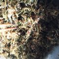 ケイコのミュウ's cooksnap of when they made 栄養満点！簡単手作りふりかけ☆.