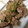 kazumi00p's cooksnap of when they made 簡単美味しい生姜焼き.