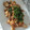 りんでありんす's cooksnap of when they made ビール多めに～旨「イカ」炒め.