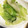 クック3IE83B☆'s cooksnap of when they made とっても簡単★レタスの湯引き.