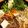 ぐーたらレシピ研究所's cooksnap of when they made すき焼きの割りした♪.