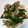 お弁当ラウラかわいい's cooksnap of when they made ごはんのお供⑥「豚タン炒め」.