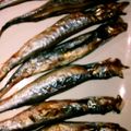 まつおかゆうみ's cooksnap of when they made ししゃものコンフィ.