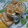 リジー＊£ove's cooksnap of when they made 簡単すぎる！きなこアイス.