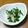 み〜も's cooksnap of when they made ニラとシーチキンの和え物.