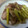 道化師毒猿's cooksnap of when they made 簡単♪豚ヒレ肉とアスパラの和風梅煮込み！.