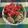 kco_1978's cooksnap of when they made れんこんと水菜のサラダ.