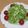 きらり流れ星's cooksnap of when they made ちょー 簡単！キャベツのサラダ.