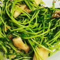 Macaw's cooksnap of when they made 豆苗とエリンギのペペロン炒め.