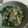 saya7ka's cooksnap of when they made 鯵のなめろう★話題入り感謝★.