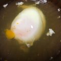 あーちゃんが's cooksnap of when they made 温泉玉子のたれ♪.