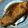 つぴ丸's cooksnap of when they made ぱぱっと！ブリの照り焼き.