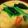 クック10EDJO☆'s cooksnap of when they made 時短！簡単☆かぼちゃシチュー.