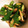 あちゃこ＊'s cooksnap of when they made 簡単！オクラときのこのバター醤油.