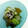 kokoro＠'s cooksnap of when they made わかめときゅうりの甘い酢のもの.