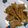 抹茶もつこ's cooksnap of when they made 生姜焼きのタレ 黄金比率 定番の味.