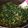 チャッピのにーさん。's cooksnap of when they made ご飯のお供！簡単！大根葉のおかか醤油炒め.