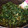 チャッピのにーさん。's cooksnap of when they made ご飯のお供！簡単！大根葉のおかか醤油炒め.