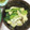 2224's cooksnap of when they made 小松菜と油揚げとしめじの煮物.