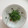 mamirei's cooksnap of when they made 捨てないで！春菊の茎で簡単ゴマ油炒め.
