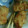 クックQ9GI2H☆'s cooksnap of when they made カフェ風　とり天プレート.