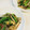 ひろみ食堂's cooksnap of when they made 小松菜の玉子とじ炒め.