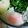 ユーロン's cooksnap of when they made 温泉卵は熱湯5：水1.