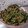 miho0419's cooksnap of when they made 簡単！中華くらげときゅうりをあえるだけ☆.