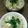 SoMiNemama's cooksnap of when they made 鯛のアラで☆鯛めし☆.