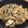 -KURUMI-'s cooksnap of when they made お店みたいーな味付け！チャプチェ.
