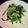 クックTT7B1Y☆'s cooksnap of when they made ニラとモヤシの簡単ナムル.