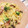 ななお_k's cooksnap of when they made 簡単！残り野菜でワンポットクリームパスタ.