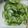 ルイユイ♡mom's cooksnap of when they made ☆野菜室に忘れてませんか？簡単漬け物☆.