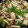 clover3664's cooksnap of when they made yin yangお魚とキノコのアヒージョ.
