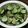 いわっしー's cooksnap of when they made きゅうりの美味しい食べ方.
