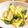 なゆ0912's cooksnap of when they made ✿じゃがいもとツナのきんぴら✿.