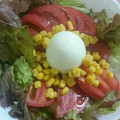 ミンチ500's cooksnap of when they made 厚揚げのエスニックサラダ.