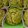 クックG8BQZV☆'s cooksnap of when they made 卵牛乳不使用！HMのかぼちゃ蒸しパン.