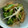 かおり85's cooksnap of when they made ちくわとブロッコリーのオイマヨ炒め.