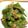 クック6VG12J☆'s cooksnap of when they made オクラの胡麻和え.