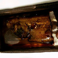 Mandy's cooksnap of when they made 煮魚簡単♪げんちょうの煮物.