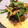 Domingo55's cooksnap of when they made 茄子とニラ☆中華風南蛮漬け！(黒酢）.