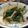 Poucette's cooksnap of when they made 早い！簡単！節約！にらもやしオイスター.
