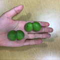 こむぎ大好き 's cooksnap of when they made キッチンの珍百景♡.